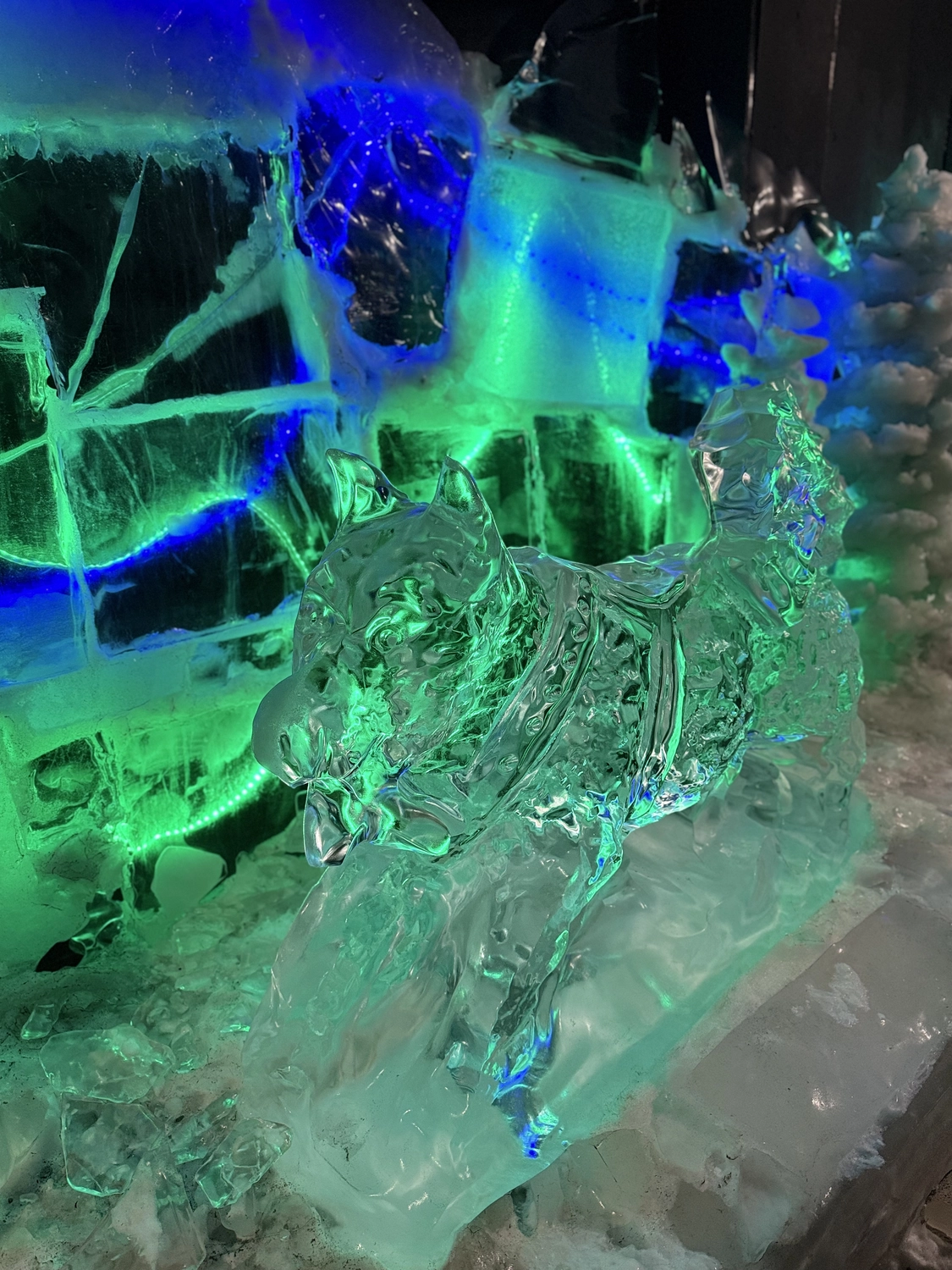 Kaltenbach - Reisebüro - Ansichten von Fairbanks