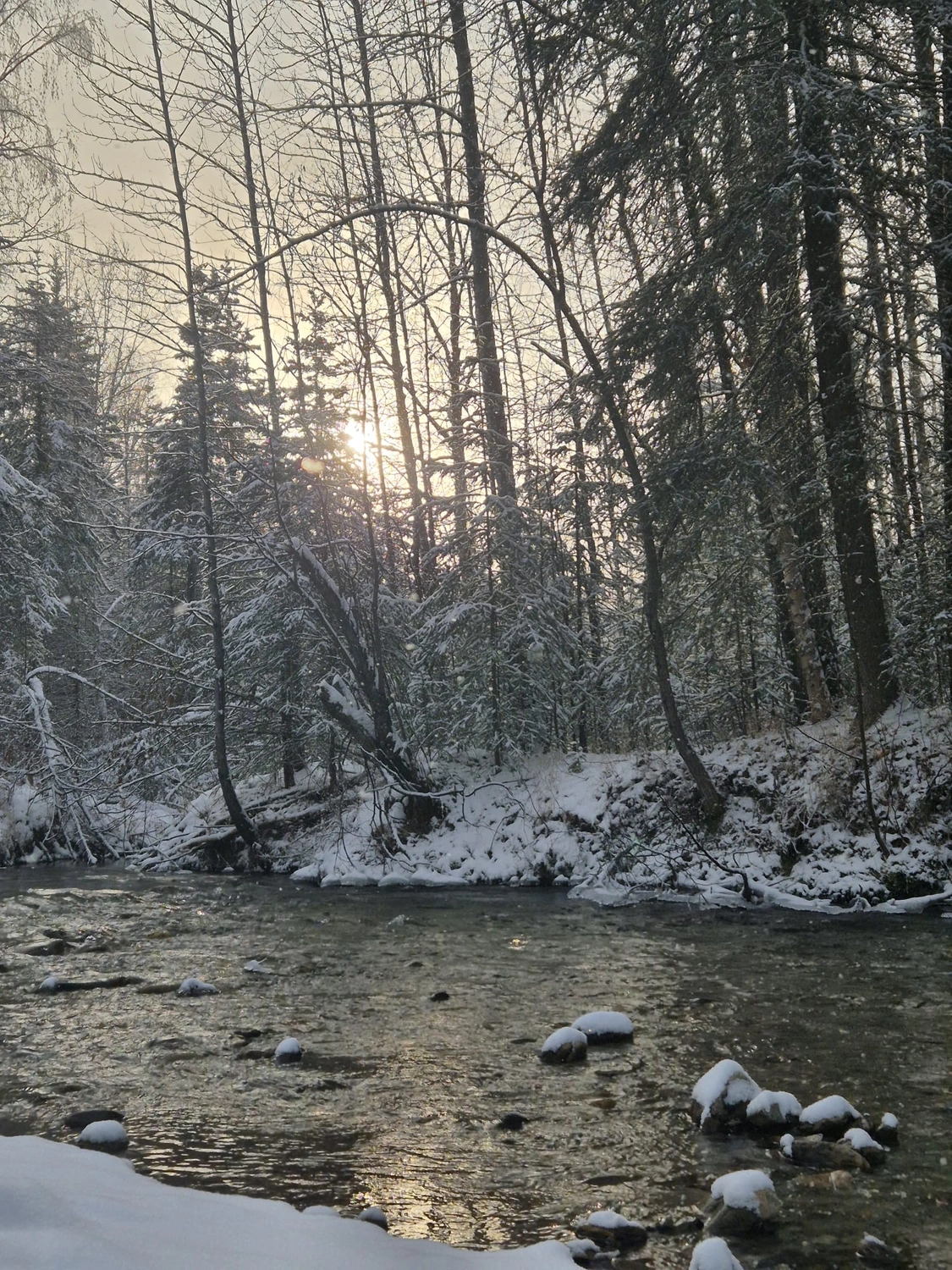 Kaltenbach - Reisebüro - Schneefall in Fairbanks
