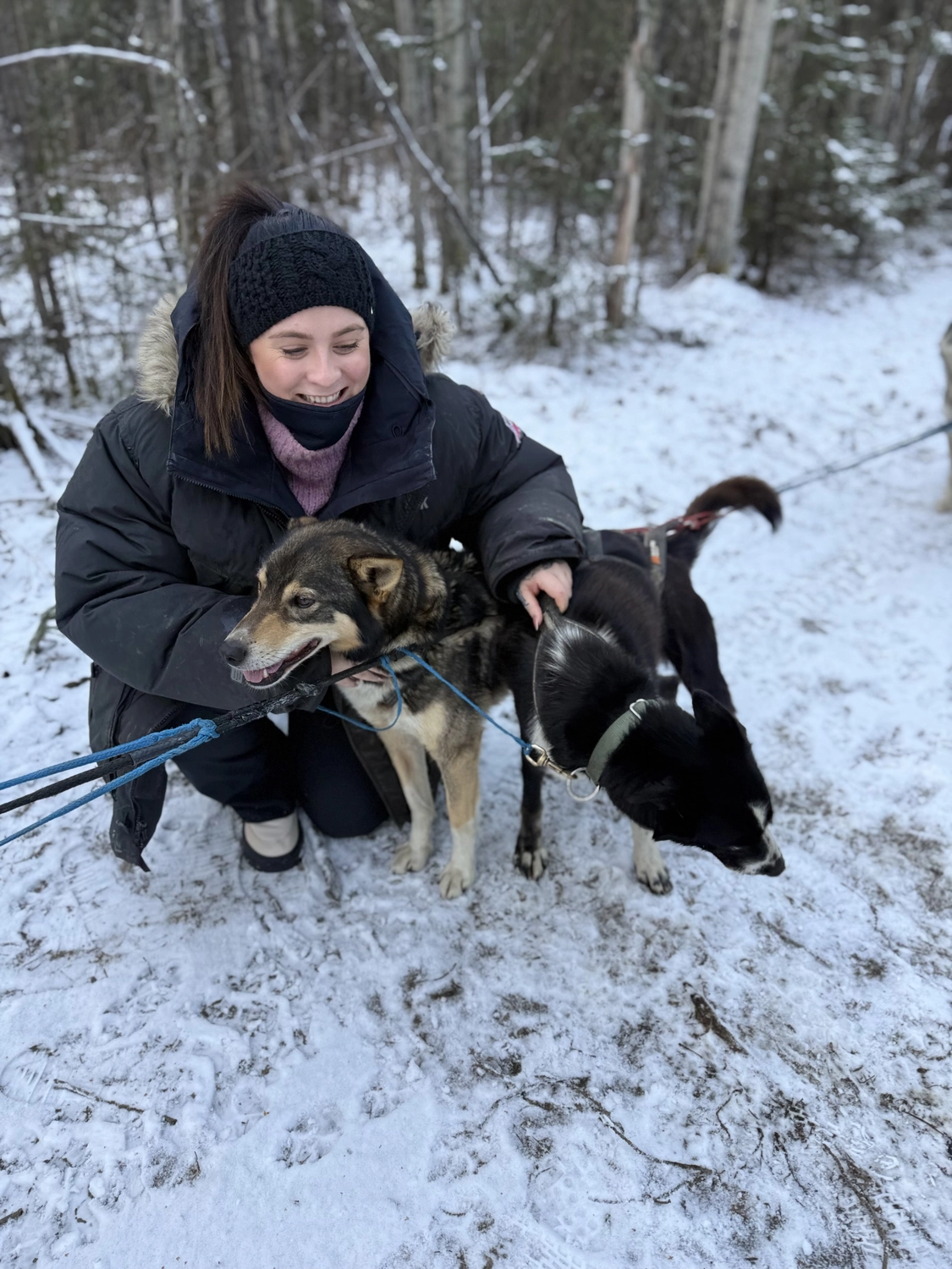 Kaltenbach - Reisebüro - Schneefall in Fairbanks