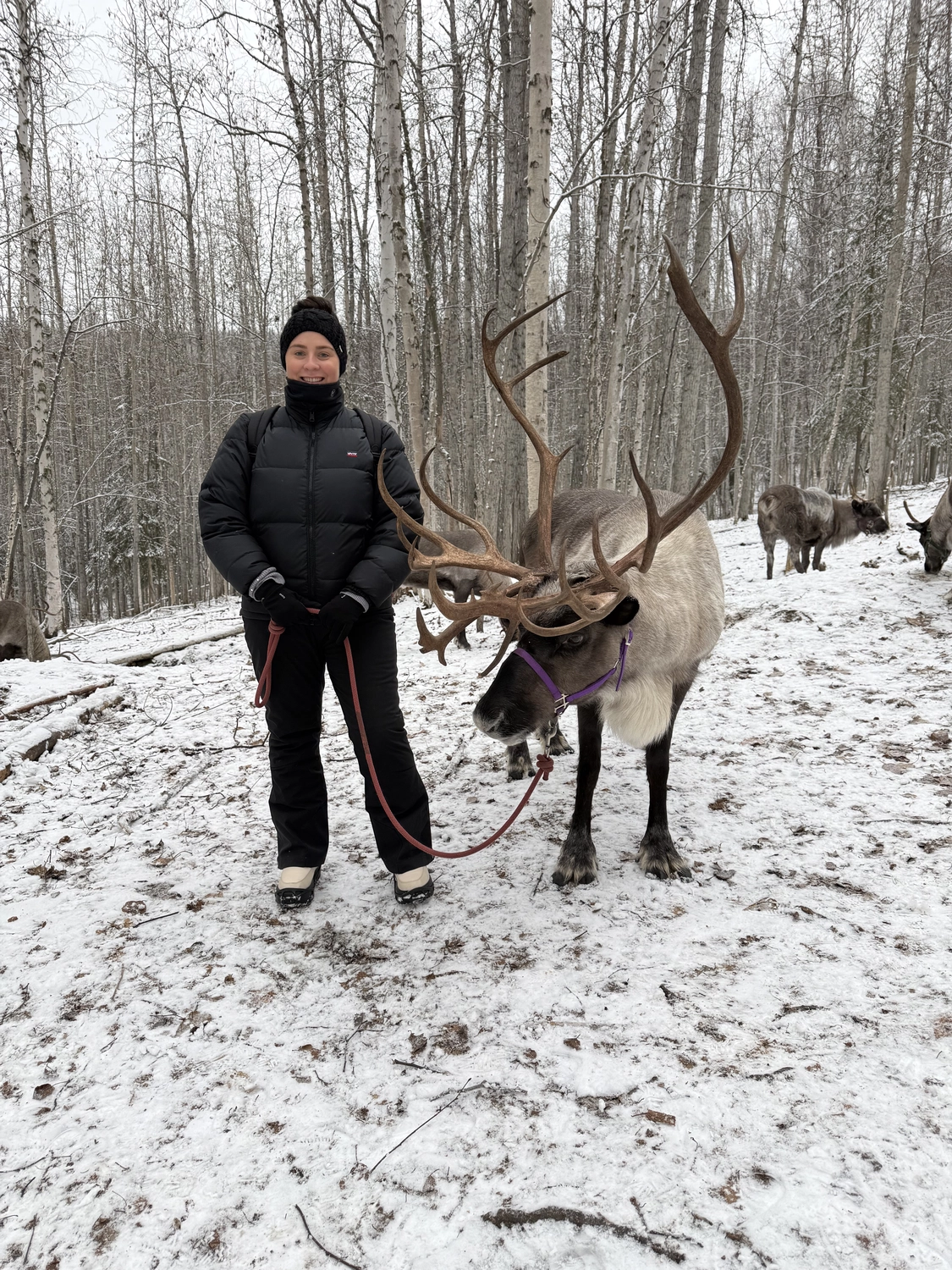 Kaltenbach - Reisebüro - Schneefall in Fairbanks
