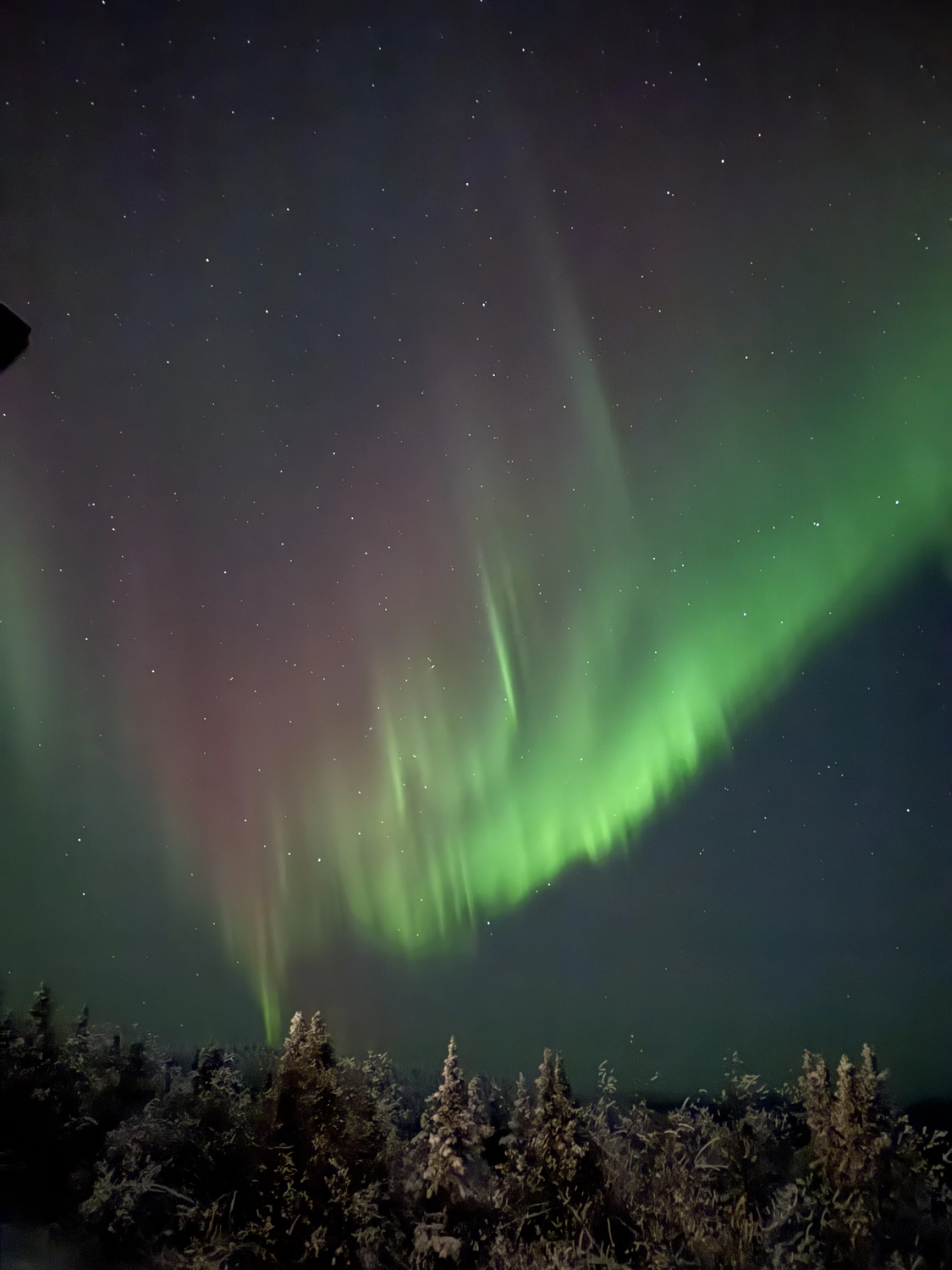 Kaltenbach - Reisebüro - Ansichten von Fairbanks