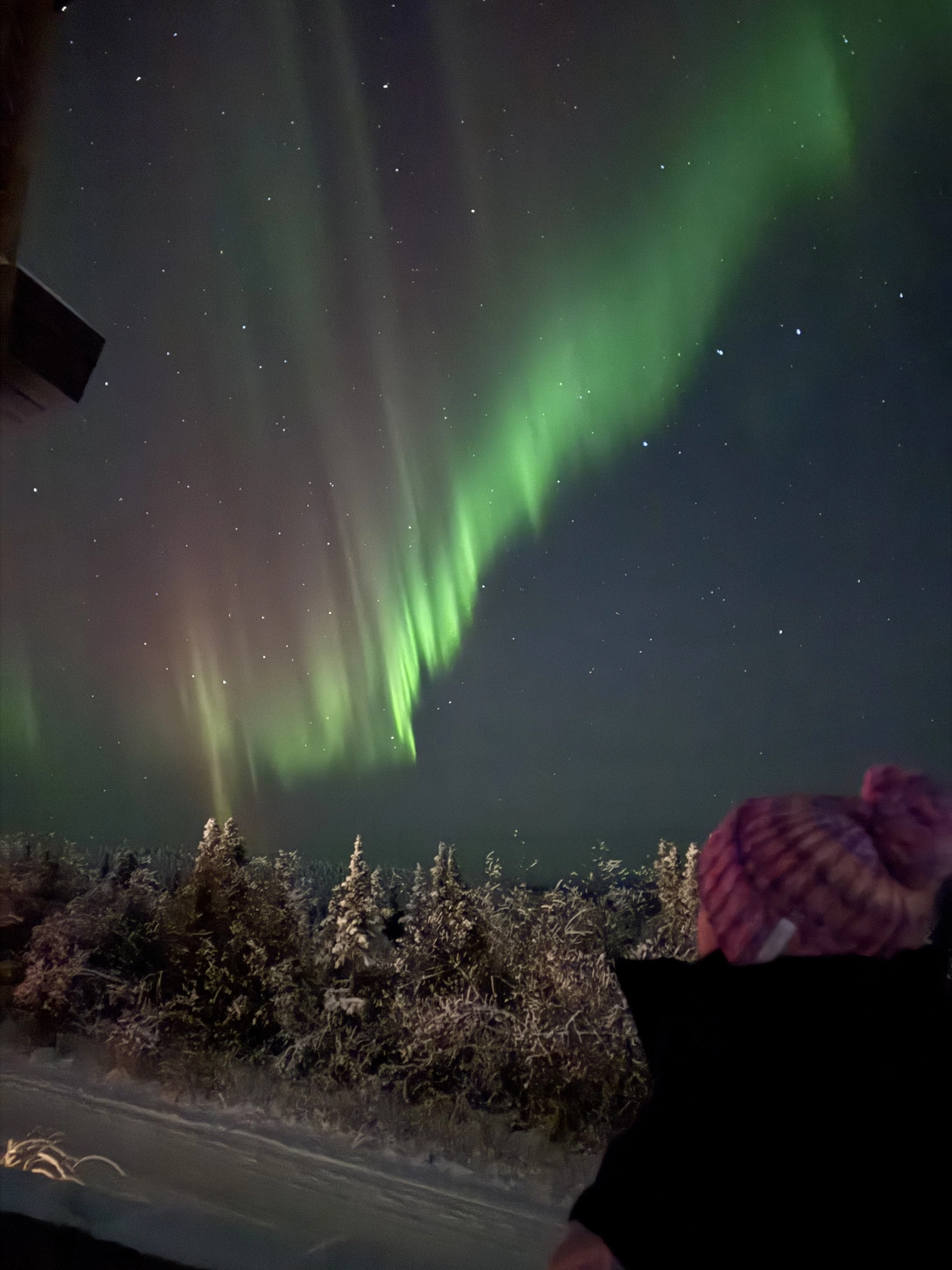 Kaltenbach - Reisebüro - Ansichten von Fairbanks