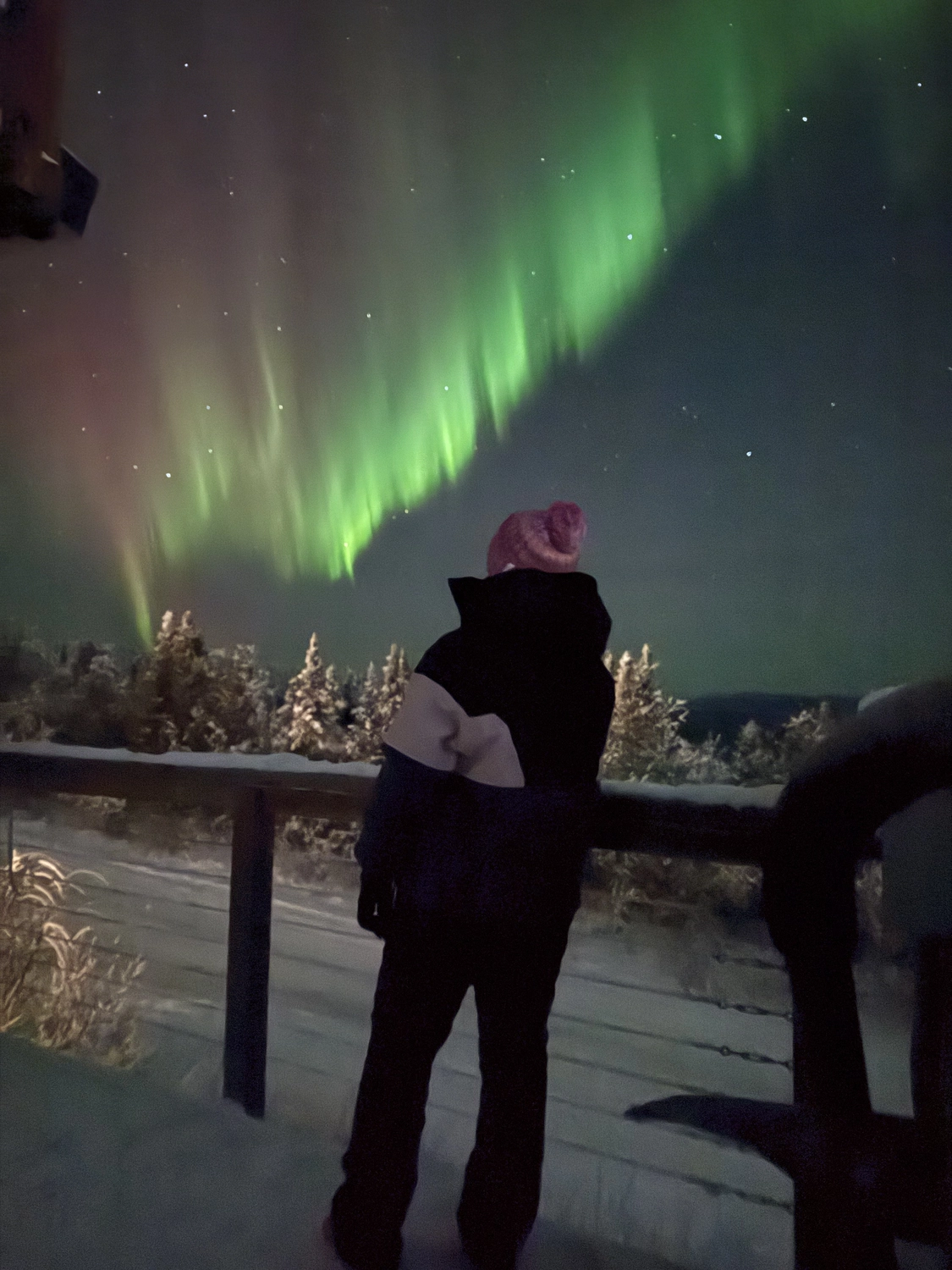 Kaltenbach - Reisebüro - Ansichten von Fairbanks