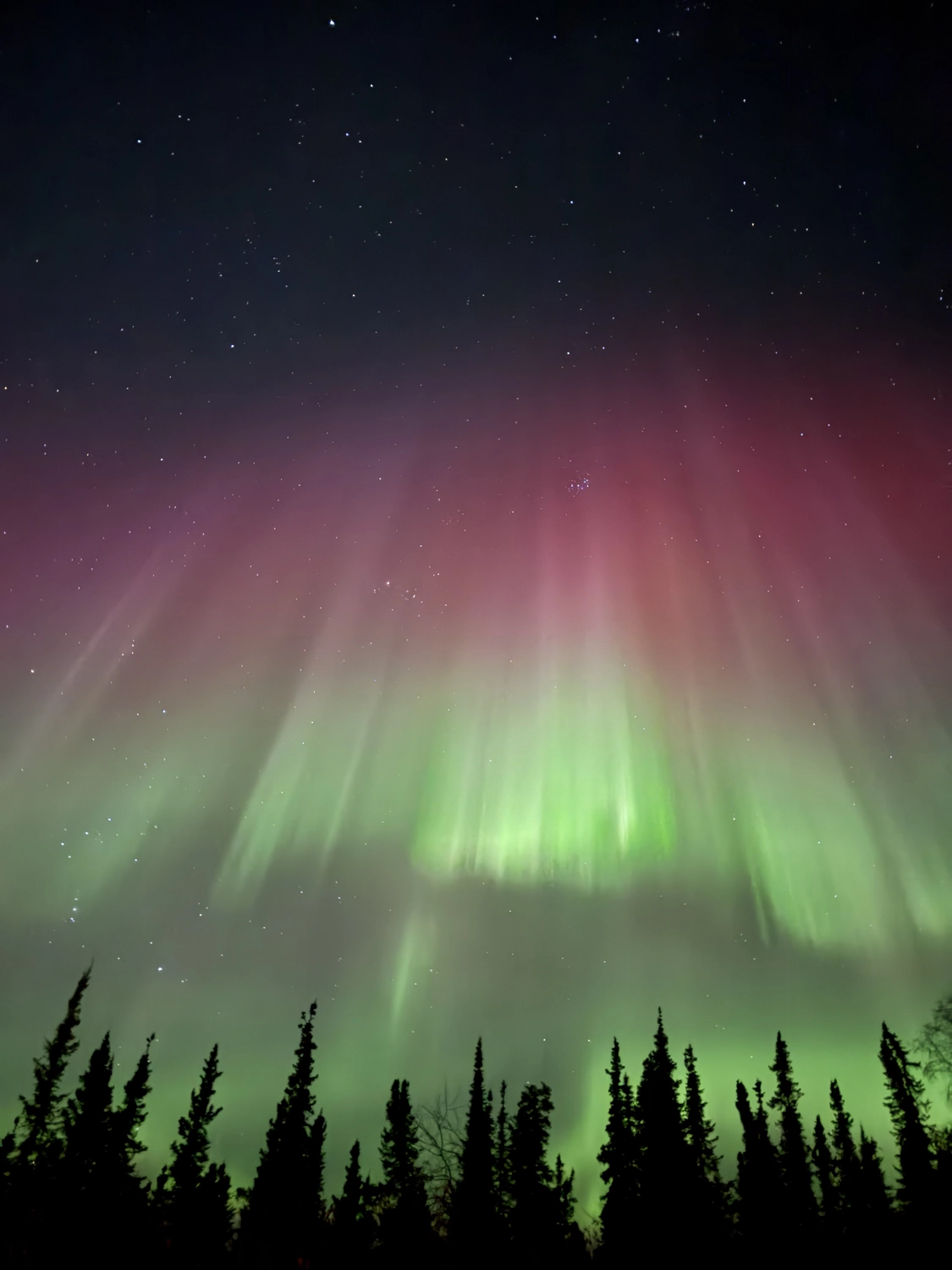 Kaltenbach - Reisebüro - Ansichten von Fairbanks