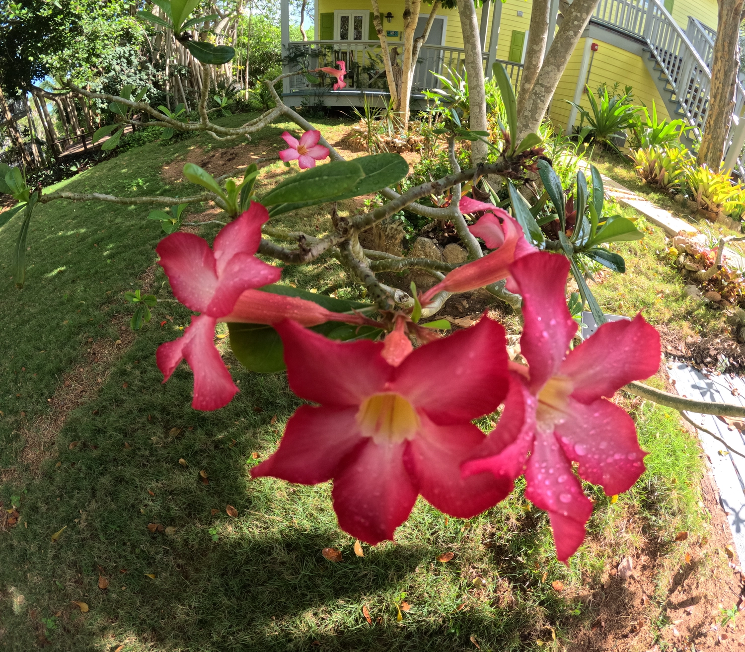 Kaltenbach - Reisebüro - Bahamas