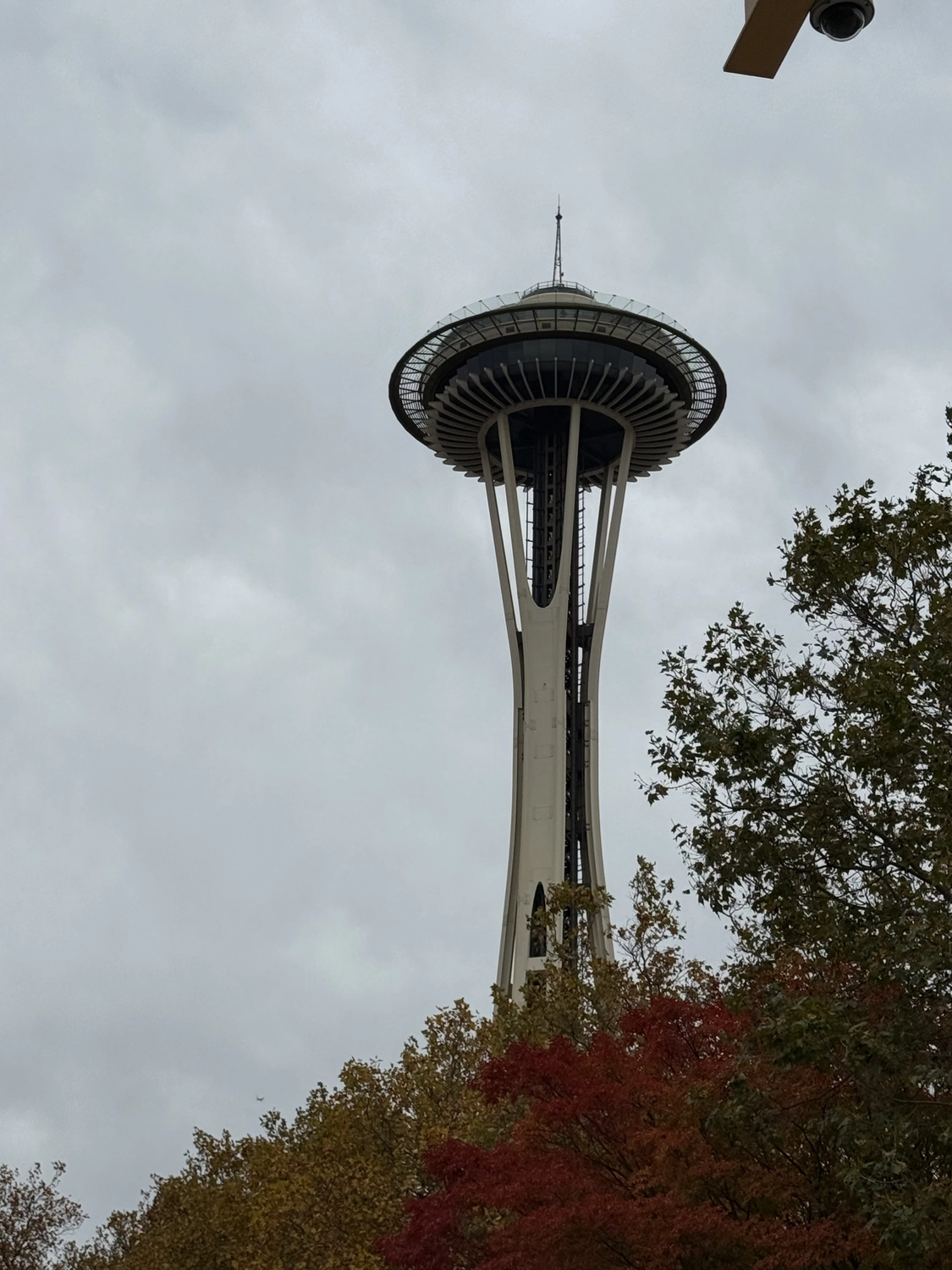 Kaltenbach - Reisebüro - Seattle